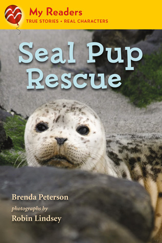 Seal Pup Rescue (My Readers)