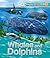 Explorers: Whales and Dolphins