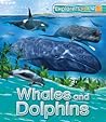 Explorers: Whales and Dolphins