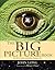 The Big Picture Book by John A. Long