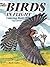 Birds in Flight Coloring Book
