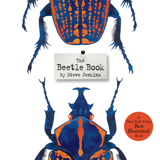 The Beetle Book (Hardcover)