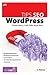 Tips SEO WordPress (Internet)