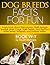 Dog Breed Facts for Fun! Book W-Y