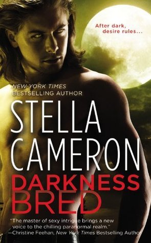 Darkness Bred (Chimney Rock, #2)