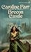 Brecon Castle by Caroline Farr