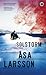 Solstorm (Rebecka Martinsson, #1)