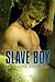 Slave Boy by Evangeline Anderson