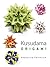 Dover Kusudama Origami Book
