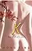 K by Hong Ying