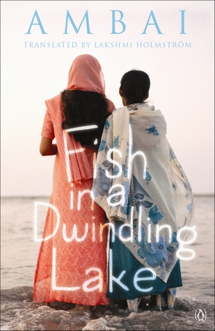 Fish In A Dwindling Lake (Paperback)
