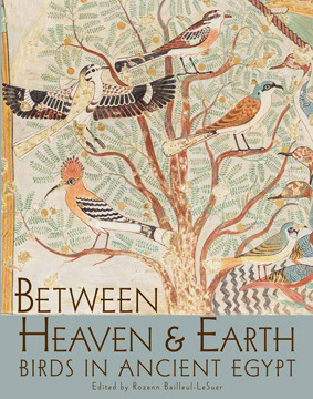 Between Heaven and Earth: Birds in Ancient Egypt (Paperback)