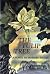 The Tulip Tree