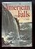 American Falls: A Novel