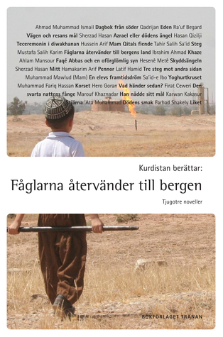 Kurdistan berättar: fåglarna återvänder till bergen (Paperback)