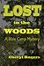Lost in the Woods: A Bible ...