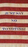 Just Say No to Voting