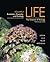 Life: The Science of Biology, Volume 2