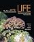 Life: The Science of Biolog...