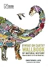 The What on Earth? Wallbook of Natural History: From the Dawn of Life to the Present Day
