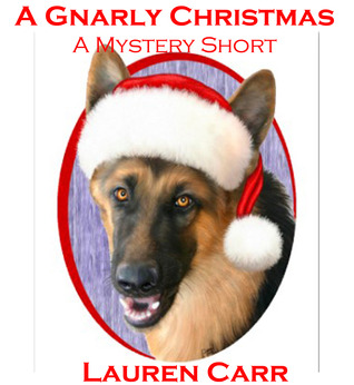 A Gnarly Christmas (Mac Faraday Mystery, #3.5)