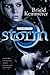 Storm by Brigid Kemmerer