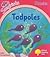 Tadpoles (Oxford Reading Tree: Stage 4: Songbirds Phonics)