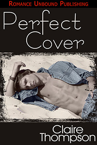 The Perfect Cover (Kindle Edition)