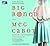Big Boned (Heather Wells, #3)