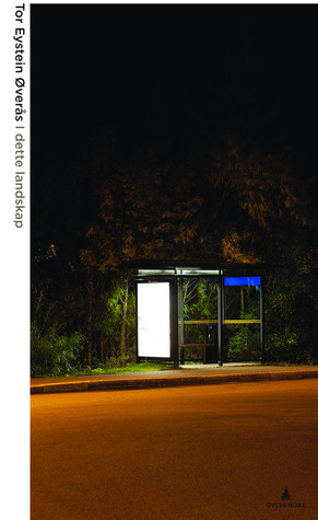 I dette landskap: Artikler og essays (Paperback)