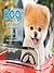 Boo: Little Dog in the Big City