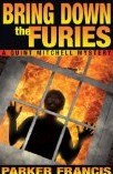 Bring Down the Furies (A Quint Mitchell Mystery #2)