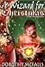 A Wizard for Christmas by Dorothy McFalls