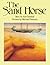 The Sand Horse by Ann Turnbull