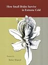 How Small Brides Survive in Extreme Cold How Small Brides Survive in Extreme Cold
