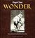 Wonder by Hugo Claus