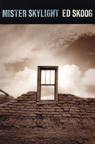 Mister Skylight (Paperback)