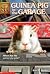 Guinea Pig in the Garage by Ben M. Baglio