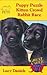 Animal Ark Pets Books 1-3