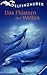 Das Flüstern Der Wellen (Delfinzauber, #2)