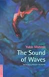 The Sound of Waves