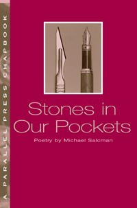 Stones In Our Pockets: Art and the Art of Medicine (Parallel Press Chapbook Series)