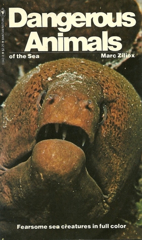 Dangerous Animals of the Sea (Paperback)