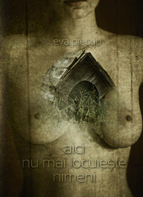 aici nu mai locuiește nimeni (Paperback)