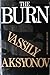 The Burn by Vasily Aksyonov