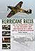 Hurricane R4118: the extraordinary story of the discovery and restoration of a great Battle of Britain survivor