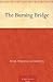 The Burning Bridge by Poul Anderson