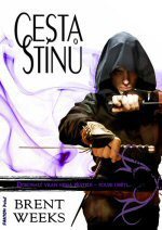 Cesta stínů (Noční anděl, #1)