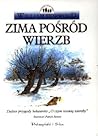 Zima pośród wierzb