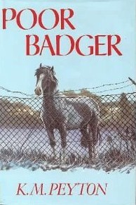 Poor Badger (Hardcover)